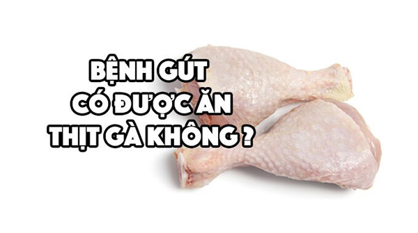 Bệnh Nhân Gút Có Ăn Được Thịt Gà Không ? Và Nên Ăn Cá Gì